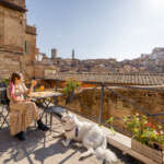 Esperienze culinarie a Siena 2 AdobeStock 493929299